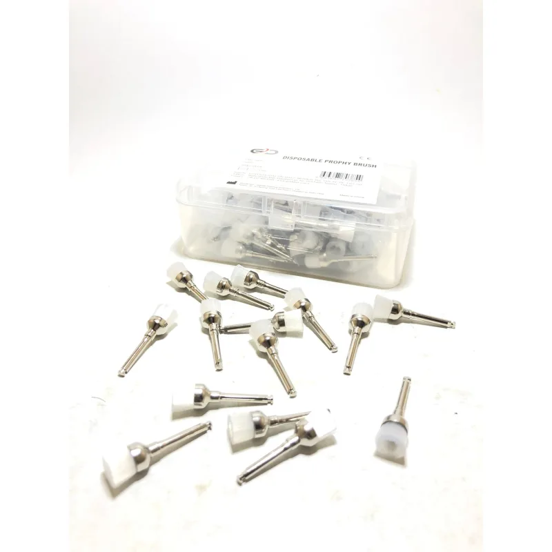 Detertraş Firçasi Naylon 100'lük Paket