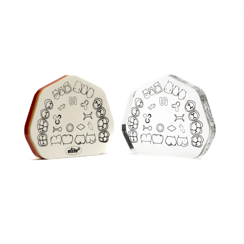 Elite Preparasyon Eğitim Bloğu (2'li Takim)