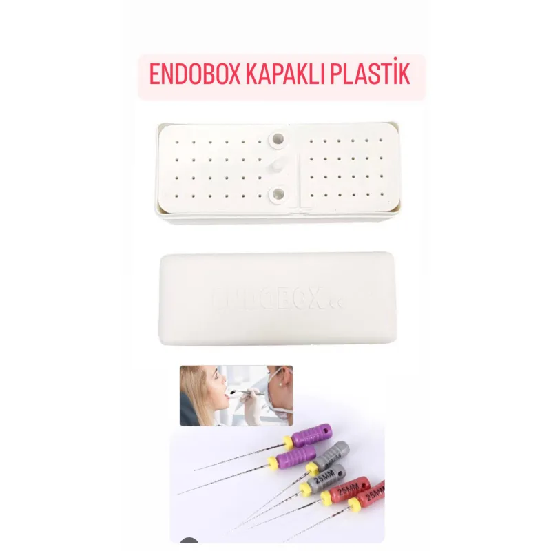 Endobox Kapakli Plastik