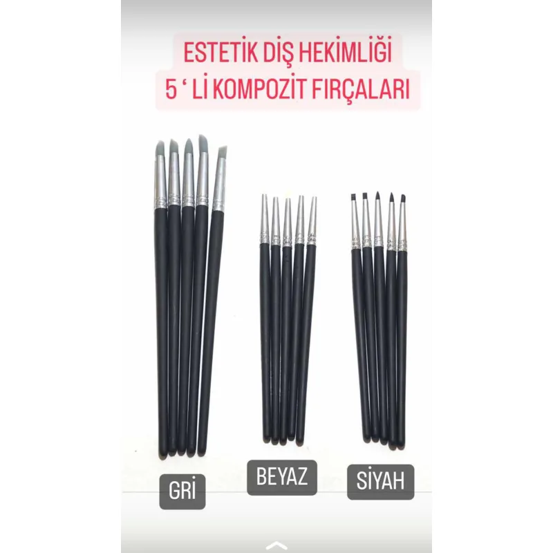 Estetik Diş Hekimliği Silikon 5'li Kompozit Firçalari -gri,siyah,beyaz-