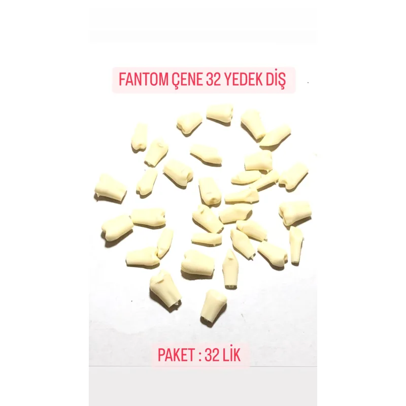 Fantom Çene 32 Yedek Diş Paket:32'lik