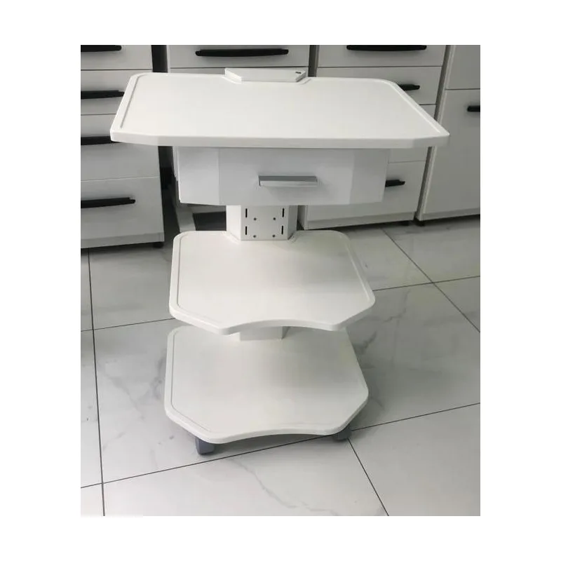 Fizyo Sehpasi Büyük Geniş 1 Çekmeceli Tekerlekli