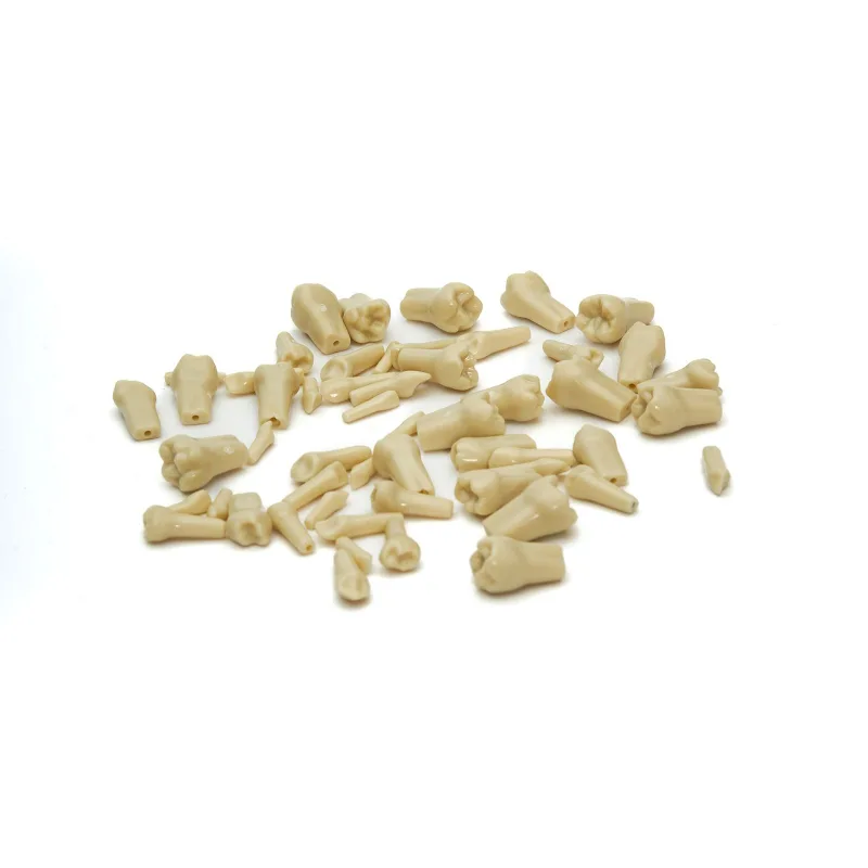 Fuji Pedodontik Tek Diş