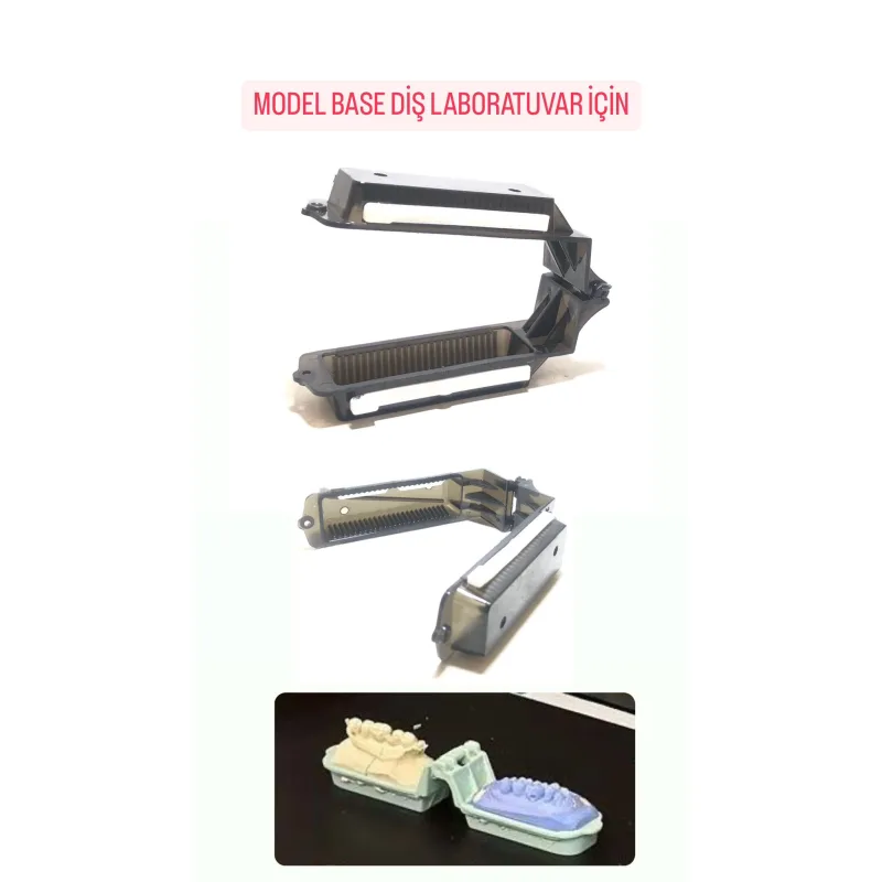 Model Base Diş Laboratuvar İçin