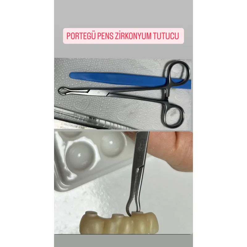 Portegü Pens Zirkonyum Tutucu